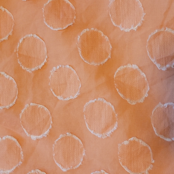 J Crew peach polka dot skirt - Picture 5 of 5